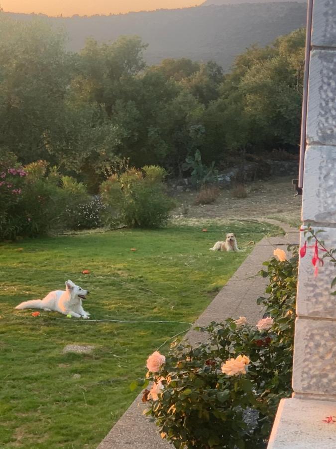Sto Spiti Bed and Breakfast Pigi  Εξωτερικό φωτογραφία