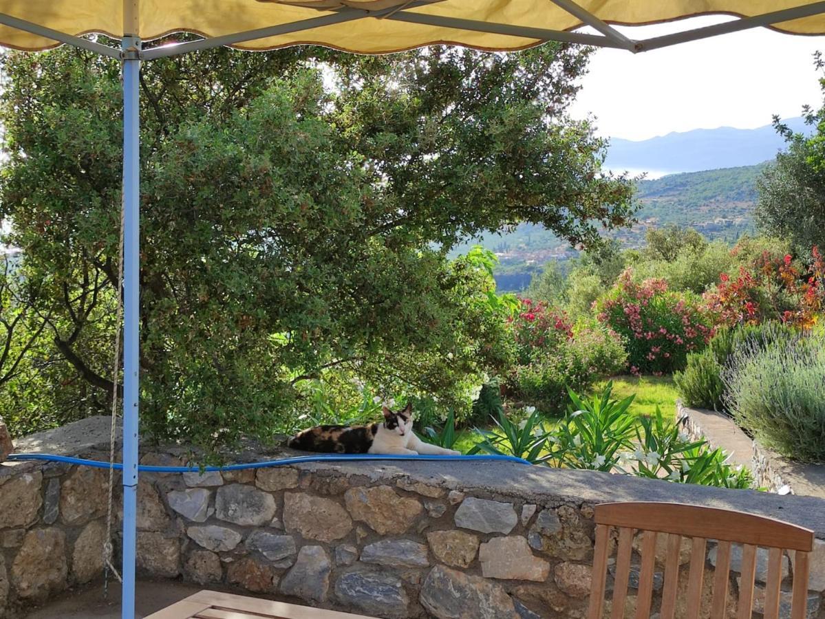 Sto Spiti Bed and Breakfast Pigi  Εξωτερικό φωτογραφία